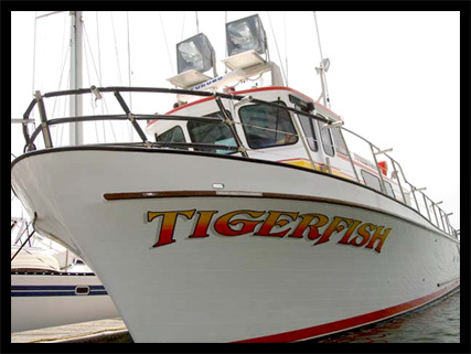 TigerFish
