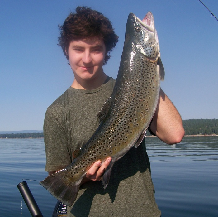 8.6 pound brown caught at Lake Almanor with guide Doug Neal