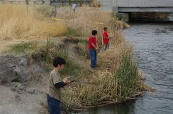 Trout Plants: Oct. 12 through Oct. 16