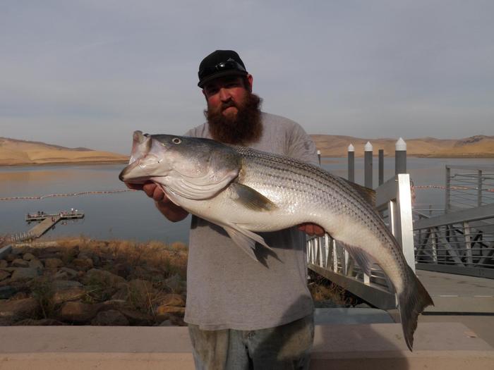 Michael Romo with a 24.42 pound striper from Los Vaqueros