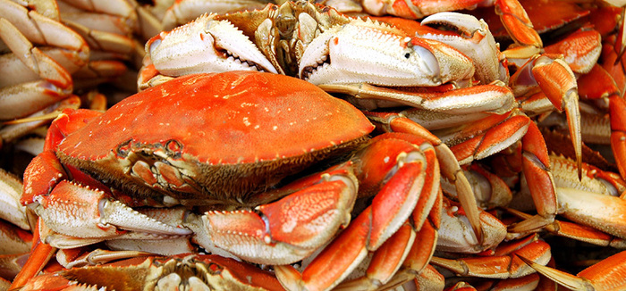 Crab toxin problem may run deeper