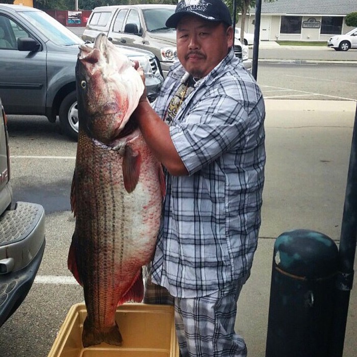 Alvin Vang with a 66.9 pound striper caught at San Luis