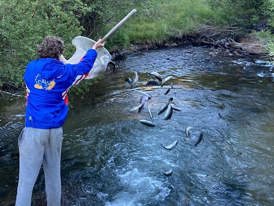 Creek South Fork Fish Report CA (Inyo County)