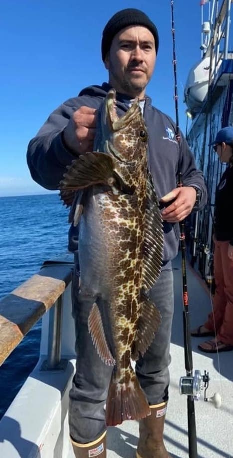 Lots of Lingcod Action