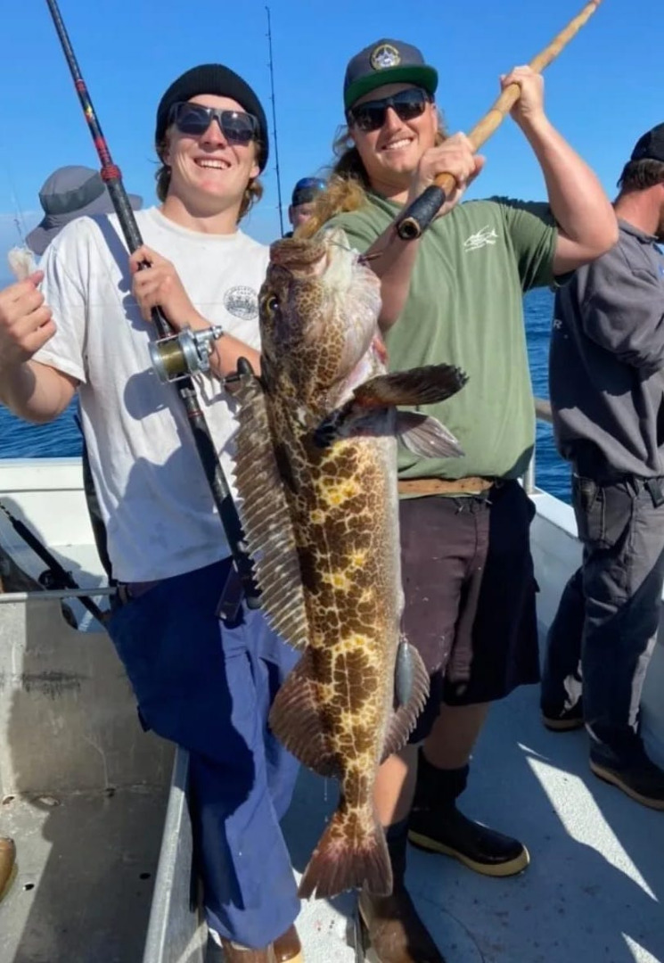 Lots of Lingcod Action