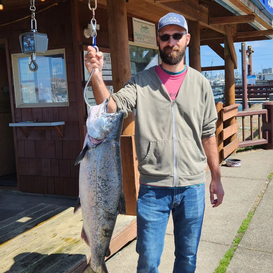 24.75 lb. King Salmon