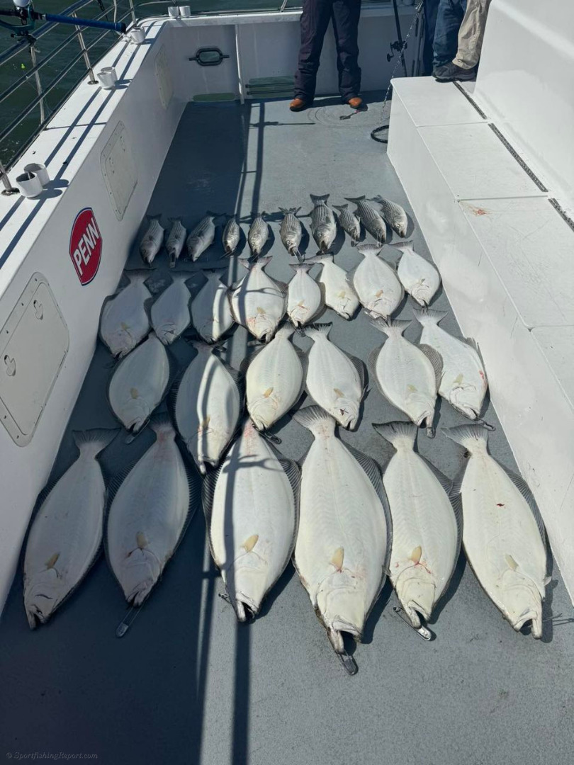 Both boats rallied on nice grade of halibut
