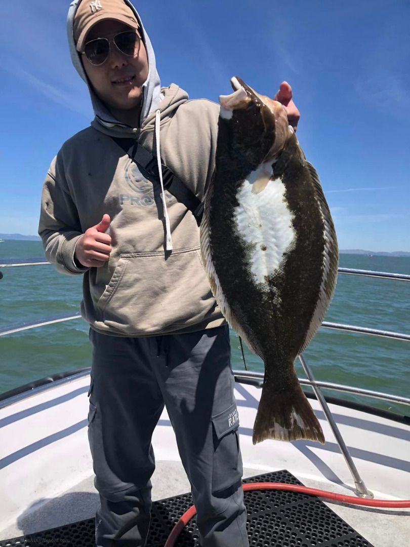 Excellent fishing in the Bay