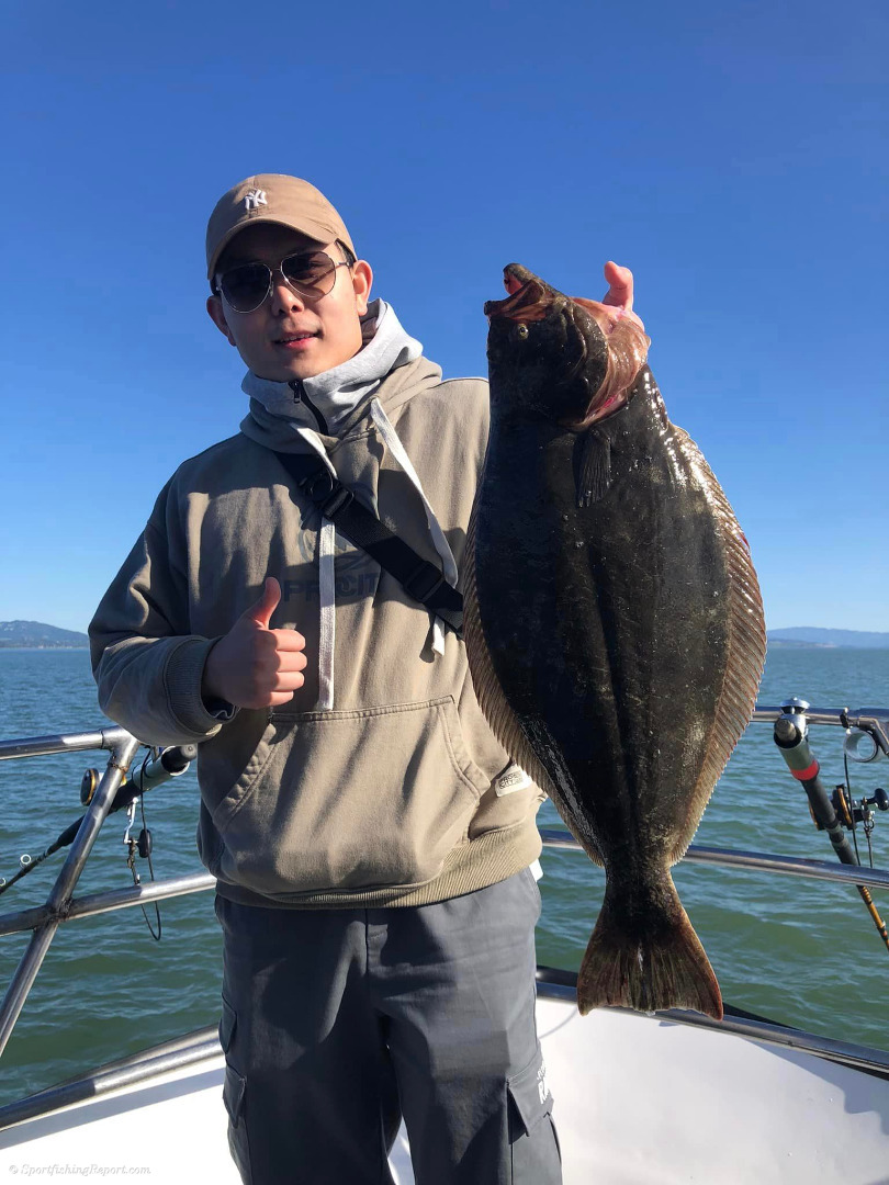 Excellent fishing in the Bay