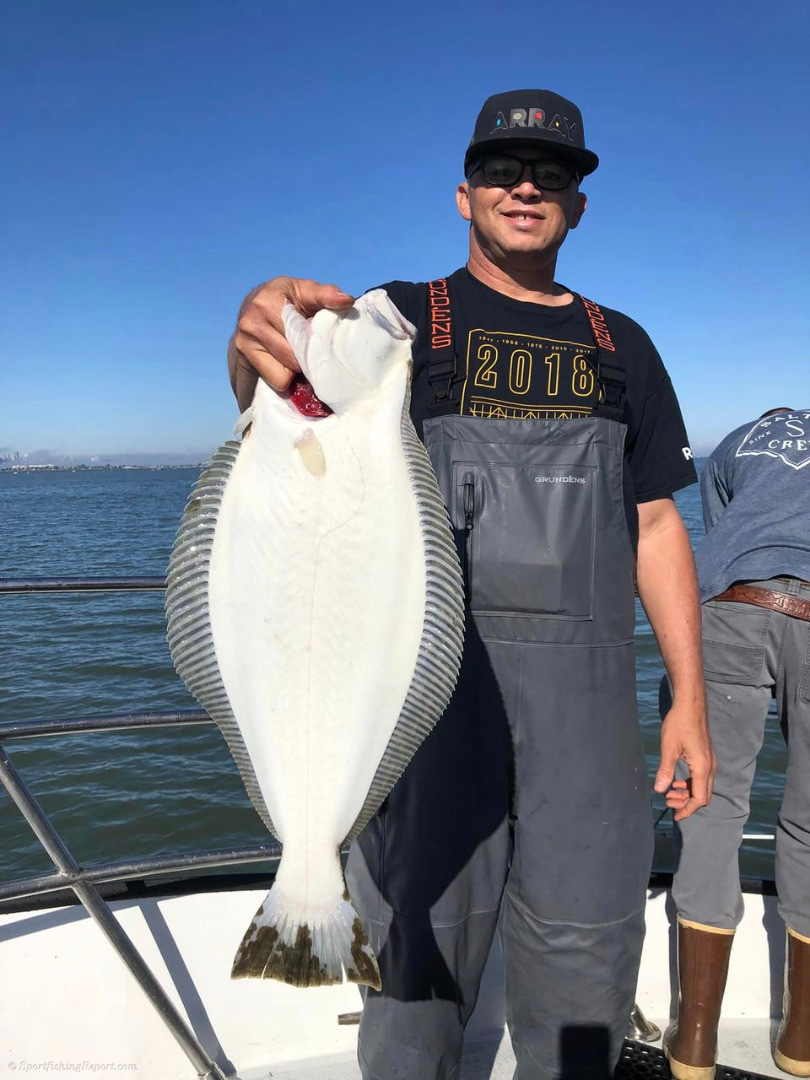 Halibut fishing in the Bay continues to prove productive