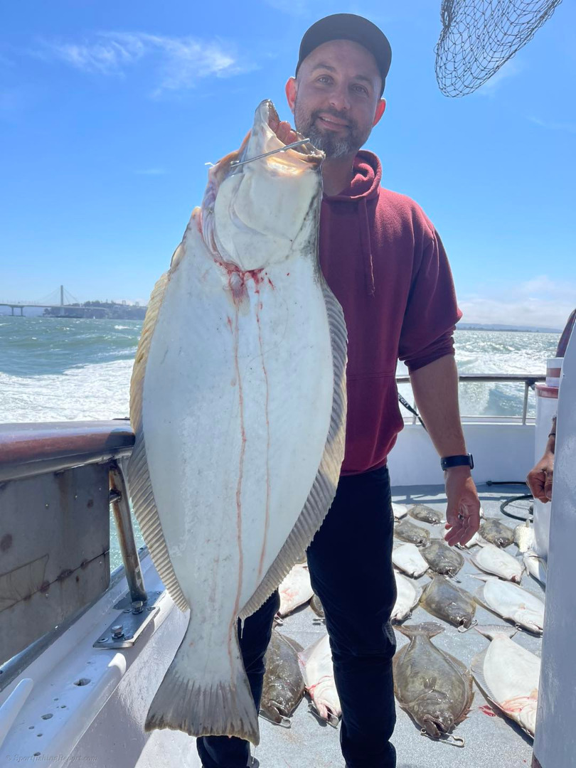 Phenomenal halibut bite today!
