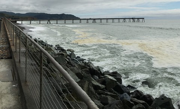 Pacifica Pier Patrol on Mother's Day cover picture