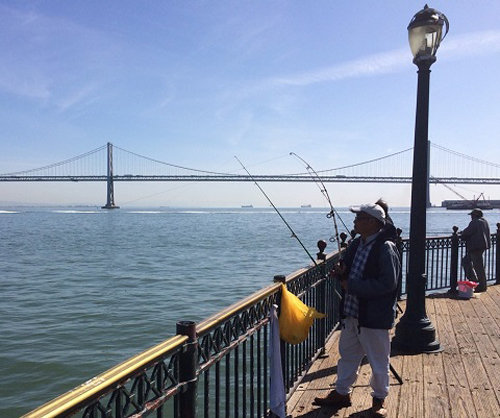 San Francisco Pier 7 Fishing cover picture