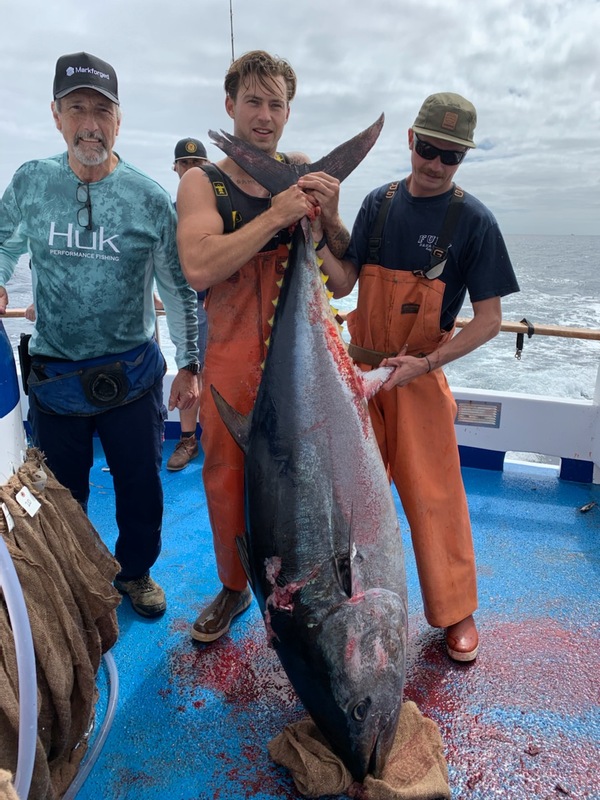 Big Bluefin 