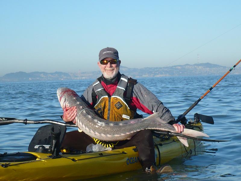 Santa Cruz Sportfishing Santa Cruz Sentinel Fish Report