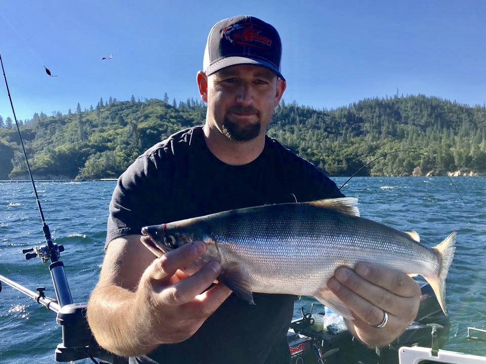 Fishing Guide tips for Whiskeytown Kokanee