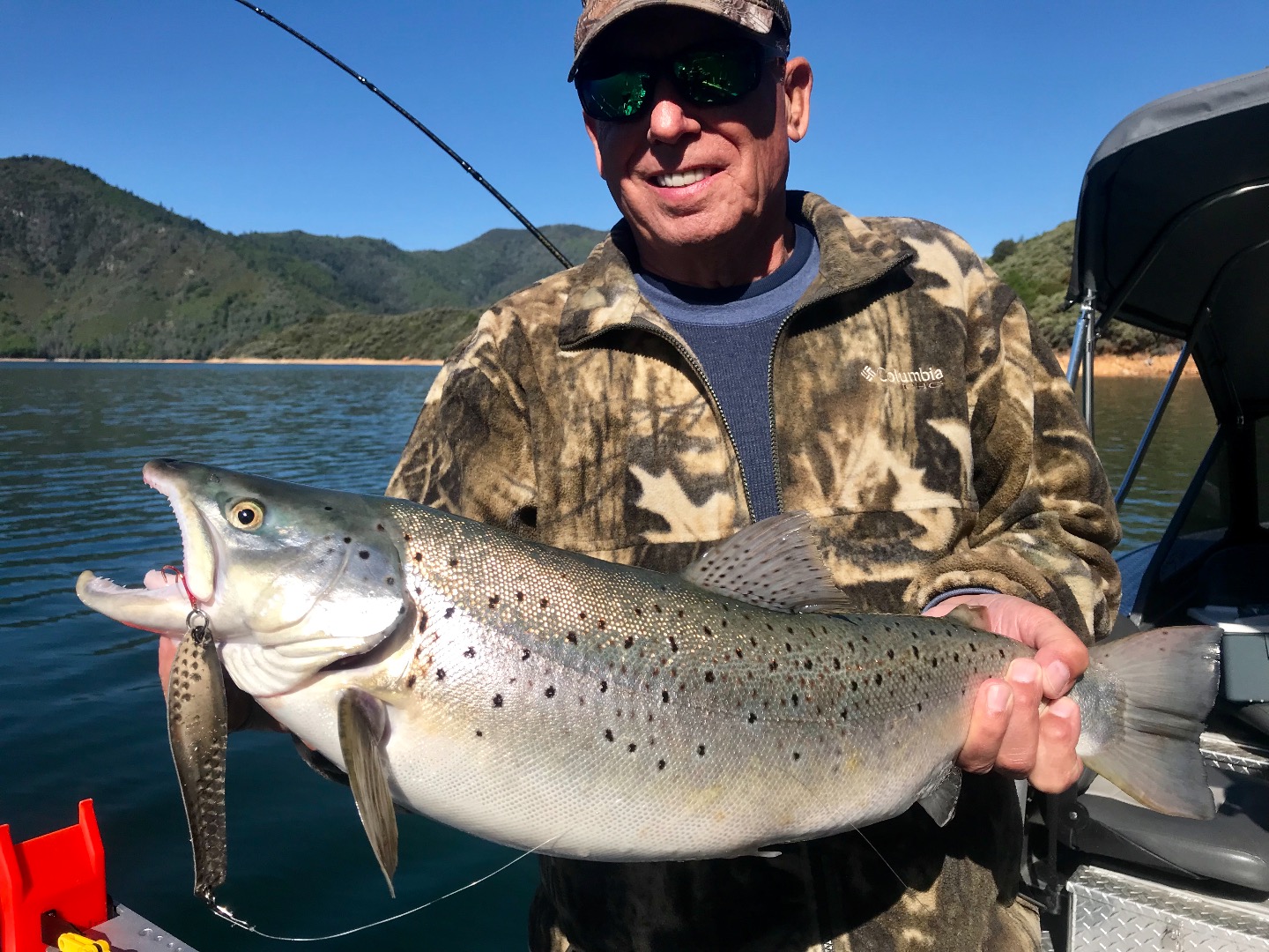 Trout brown shasta fishing german good fish lake biggest reports