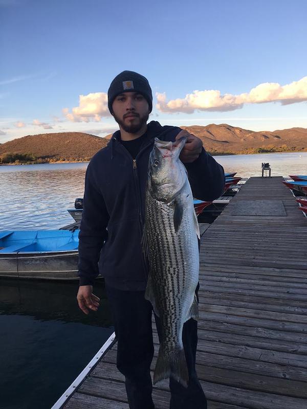 Lake Skinner Fish Report Temecula, CA (Riverside County)