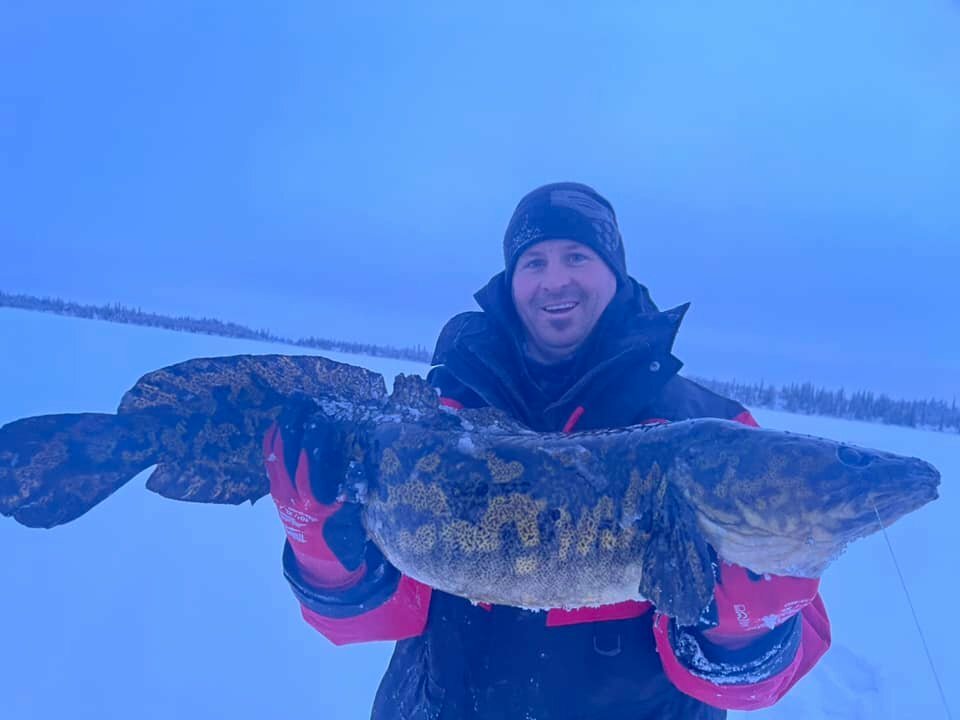 Big lakers and a fat burbot!