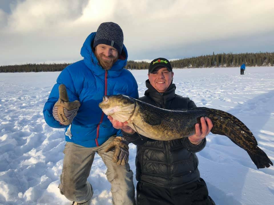 Trophy burbot! 35” and 12+ pounds