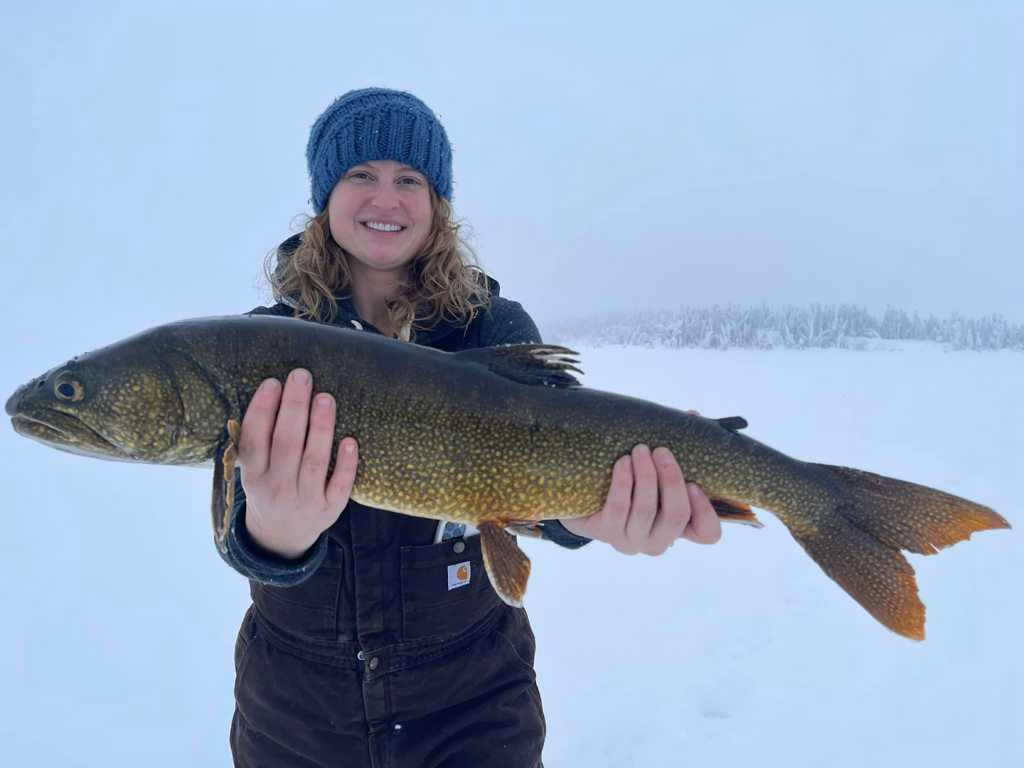 Plenty of lakers and burbot yesterday!