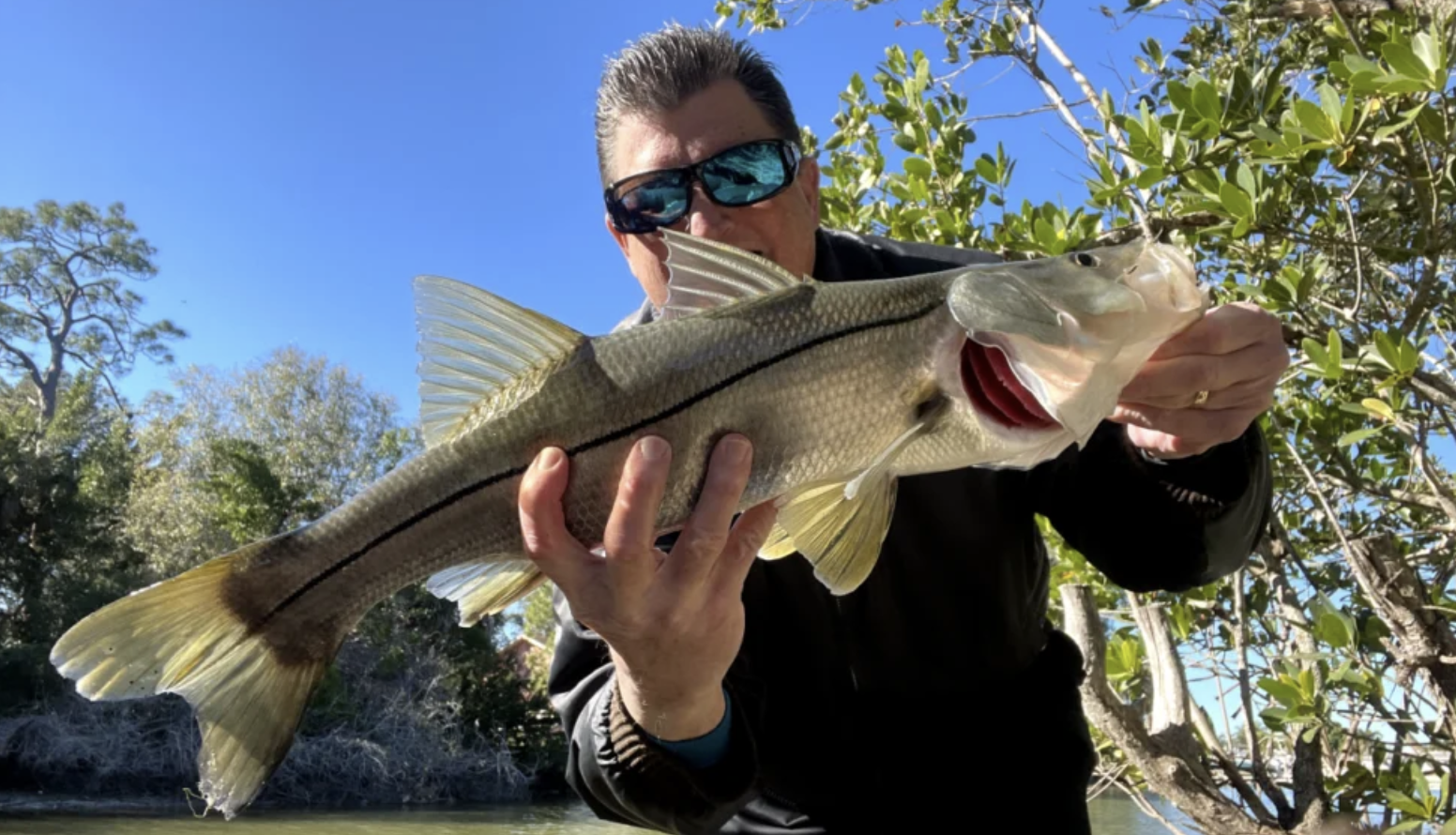 Lots of Snook Action Going On 