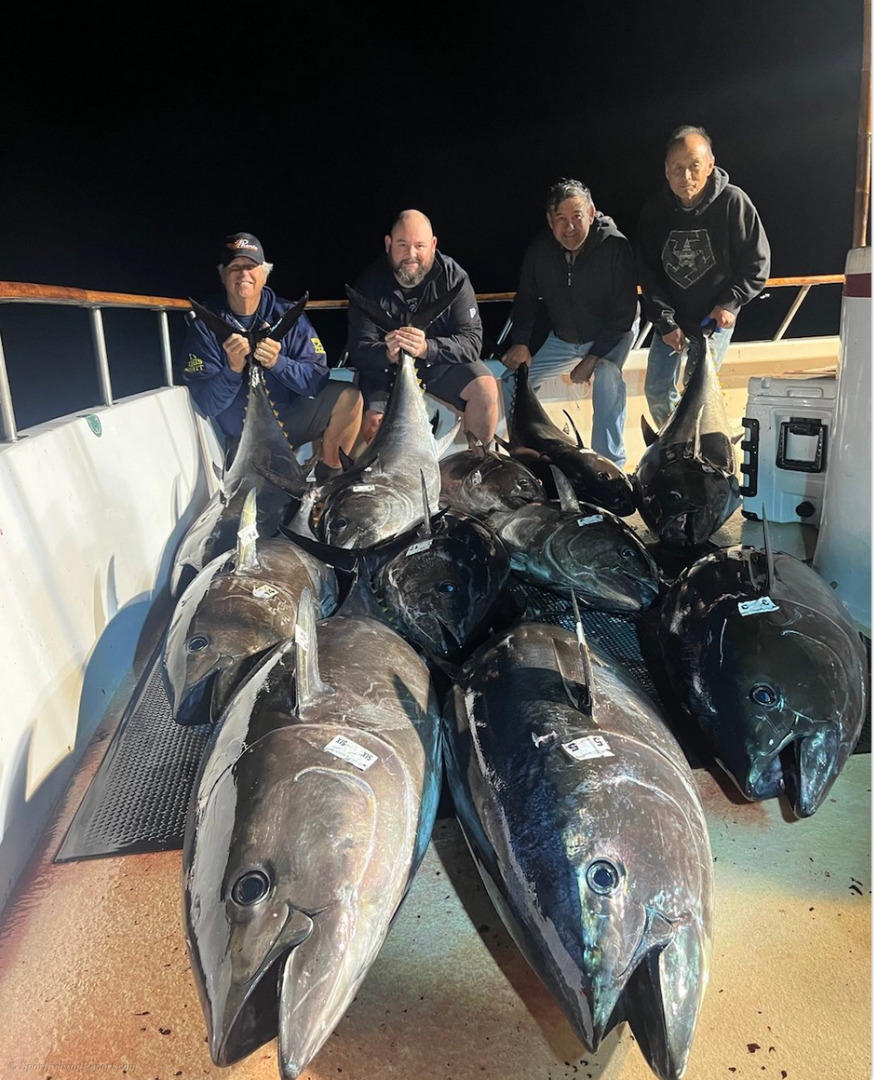 Bluefin up to 150lbs. Last Night