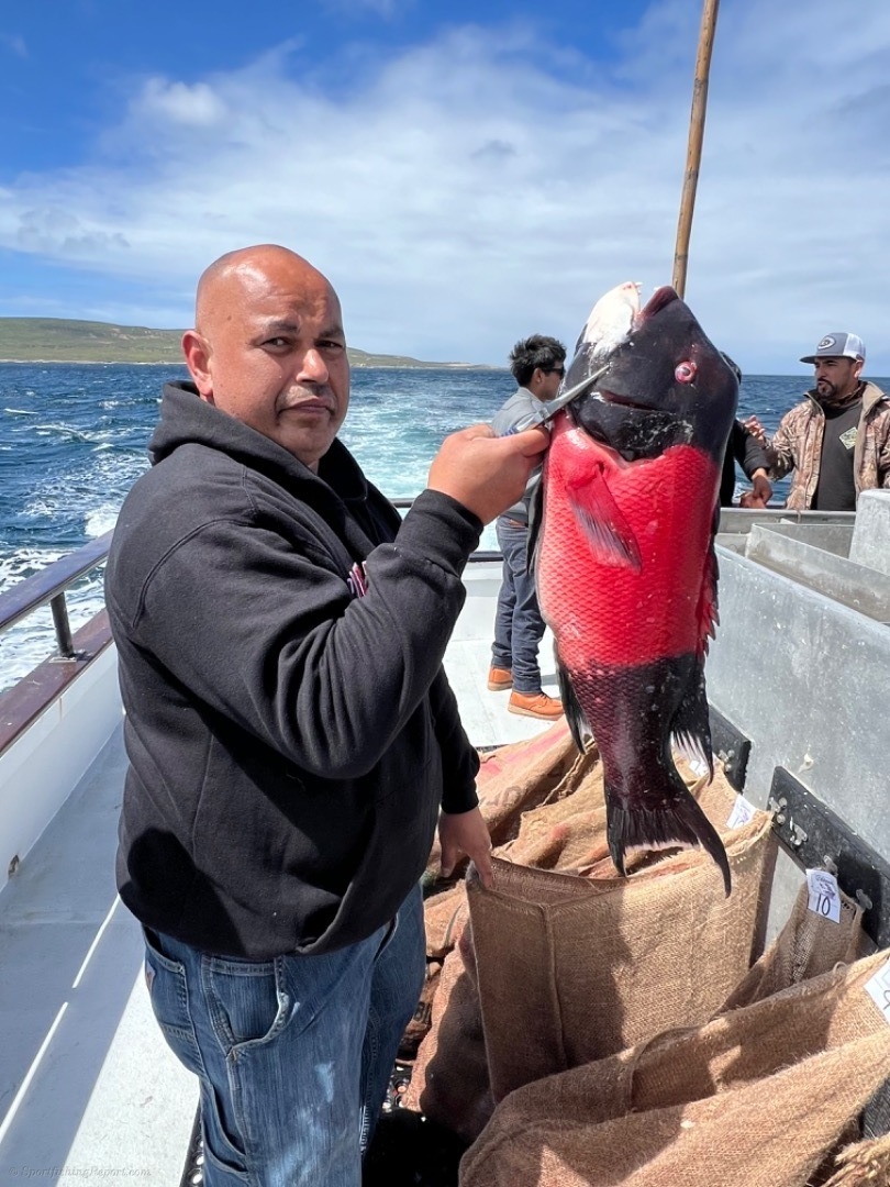 San Nicholas Island