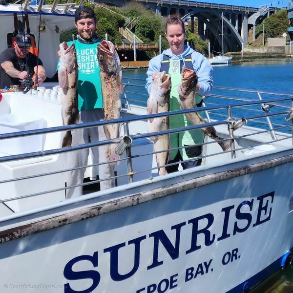 Lingcod Limits