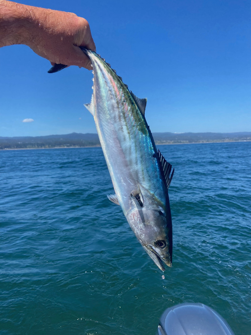  Anglers embracing the unexpected cover picture