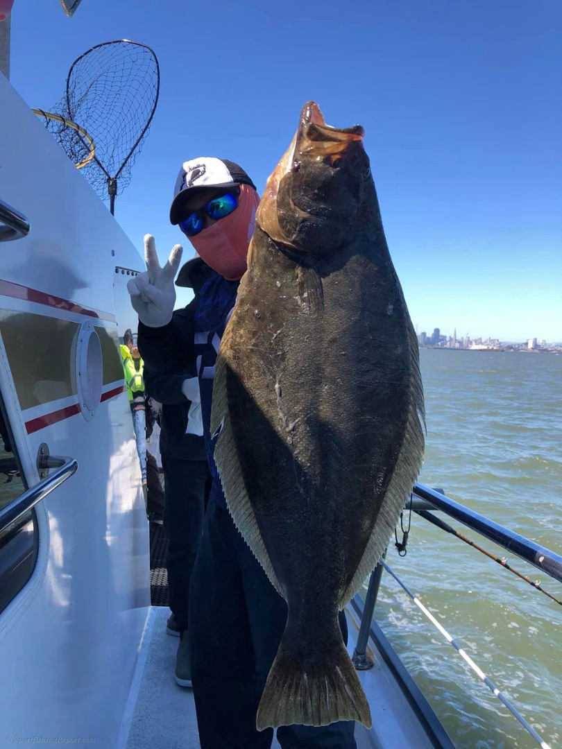 Halibut fishing in the Bay continues to prove productive