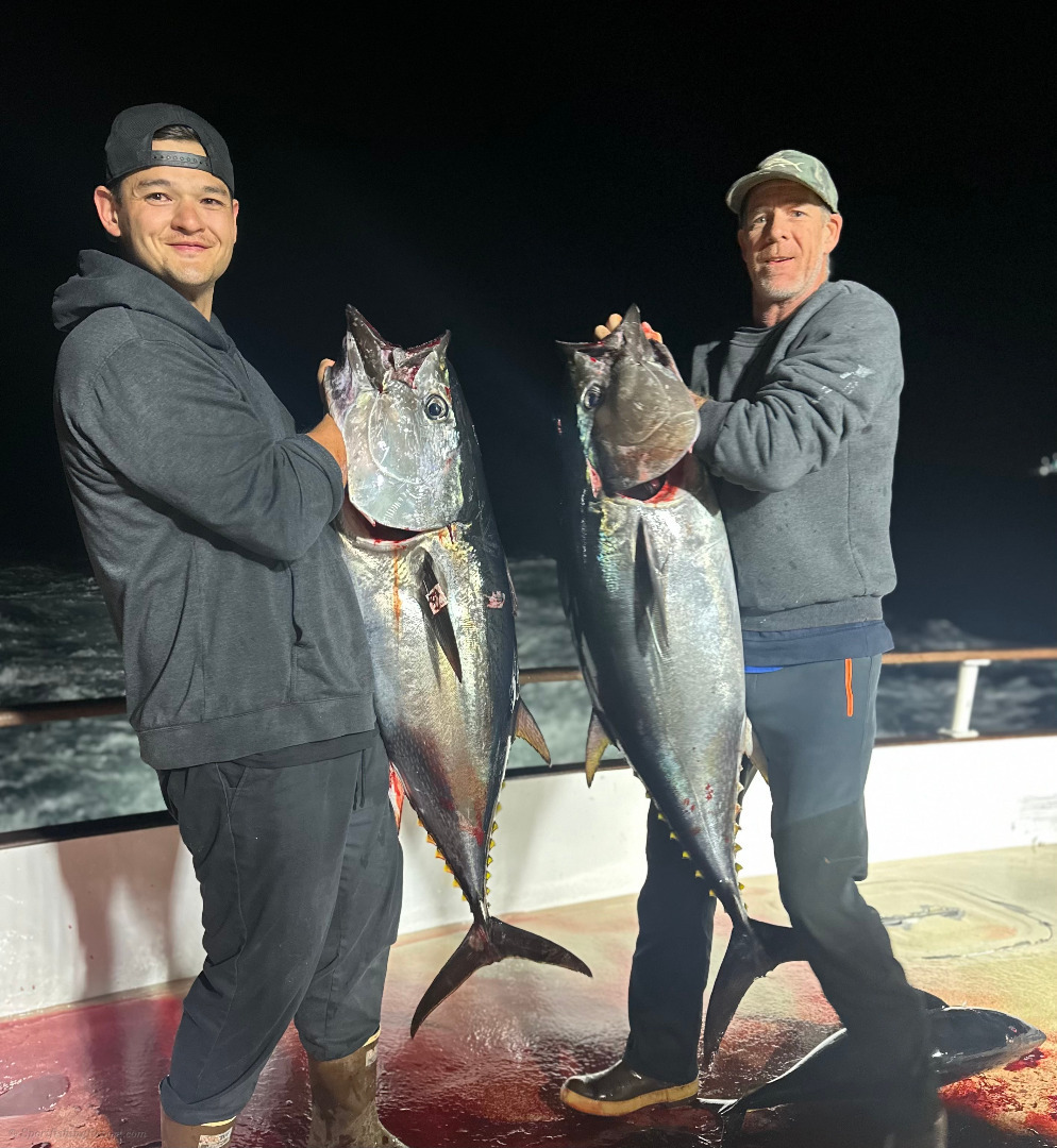 3 Day Bluefin Update 