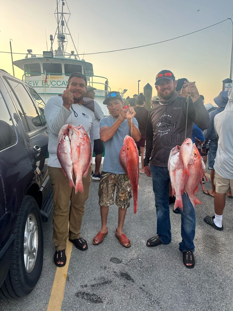 New Bucaneer Lands Limits of Red Snapper