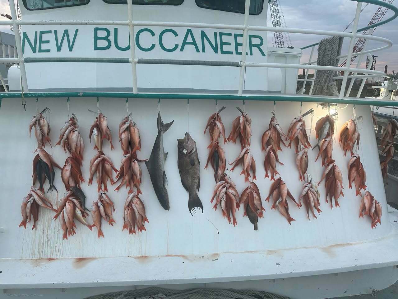 12 hour Deep Sea Trip