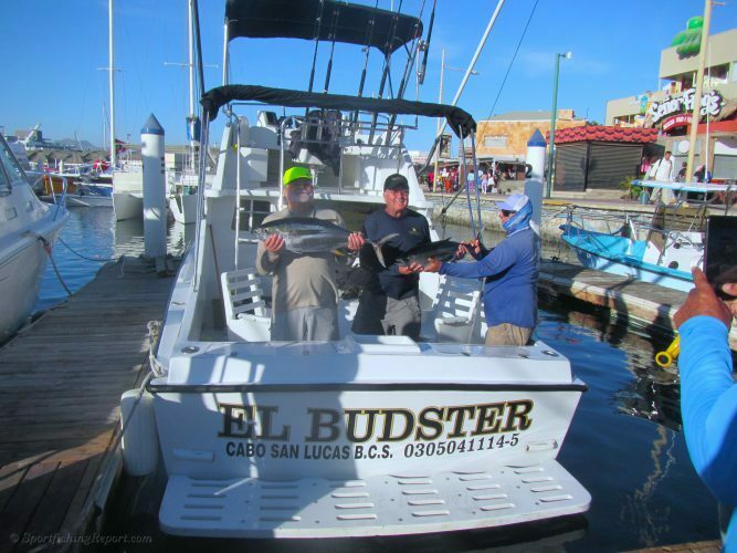 Yellowfin Tuna on the El Budster