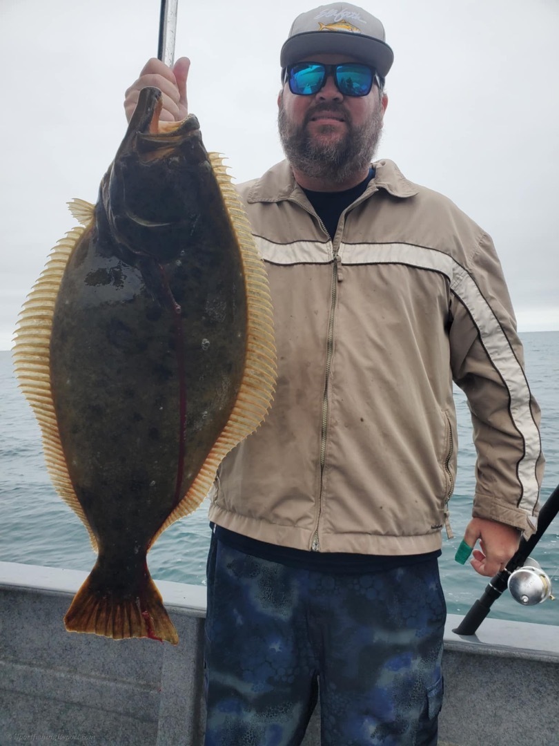 Halibut