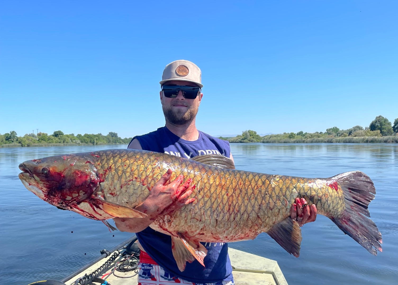 New State record Grass Carp