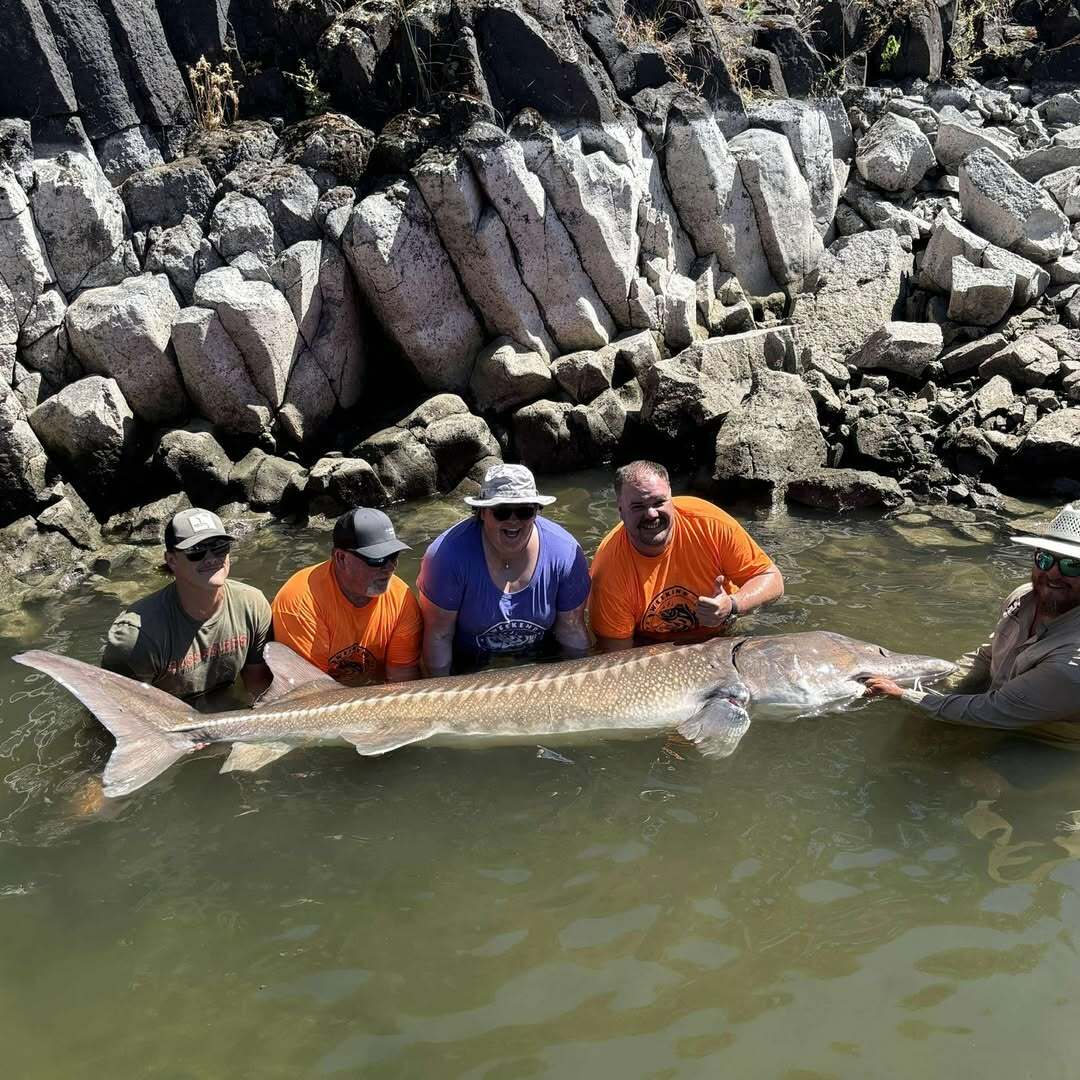 Check out this Snake River Monster