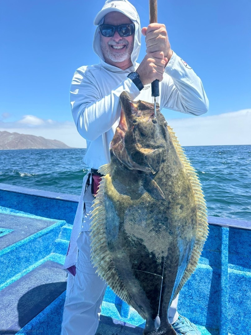 Halibut is on the menu!