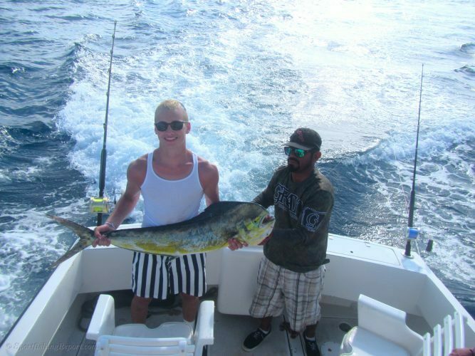 ONE 20LB. DORADO and ONE ROOSTERFISH