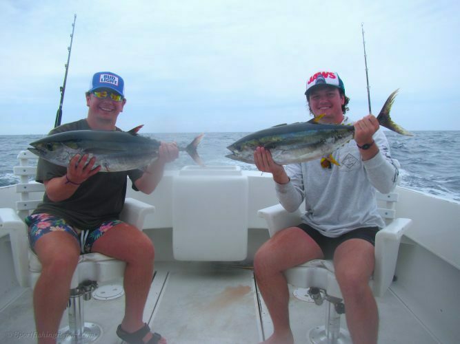 SIX YELLOWFIN TUNAS