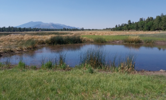 The lake is very weedy, making fishing challenging