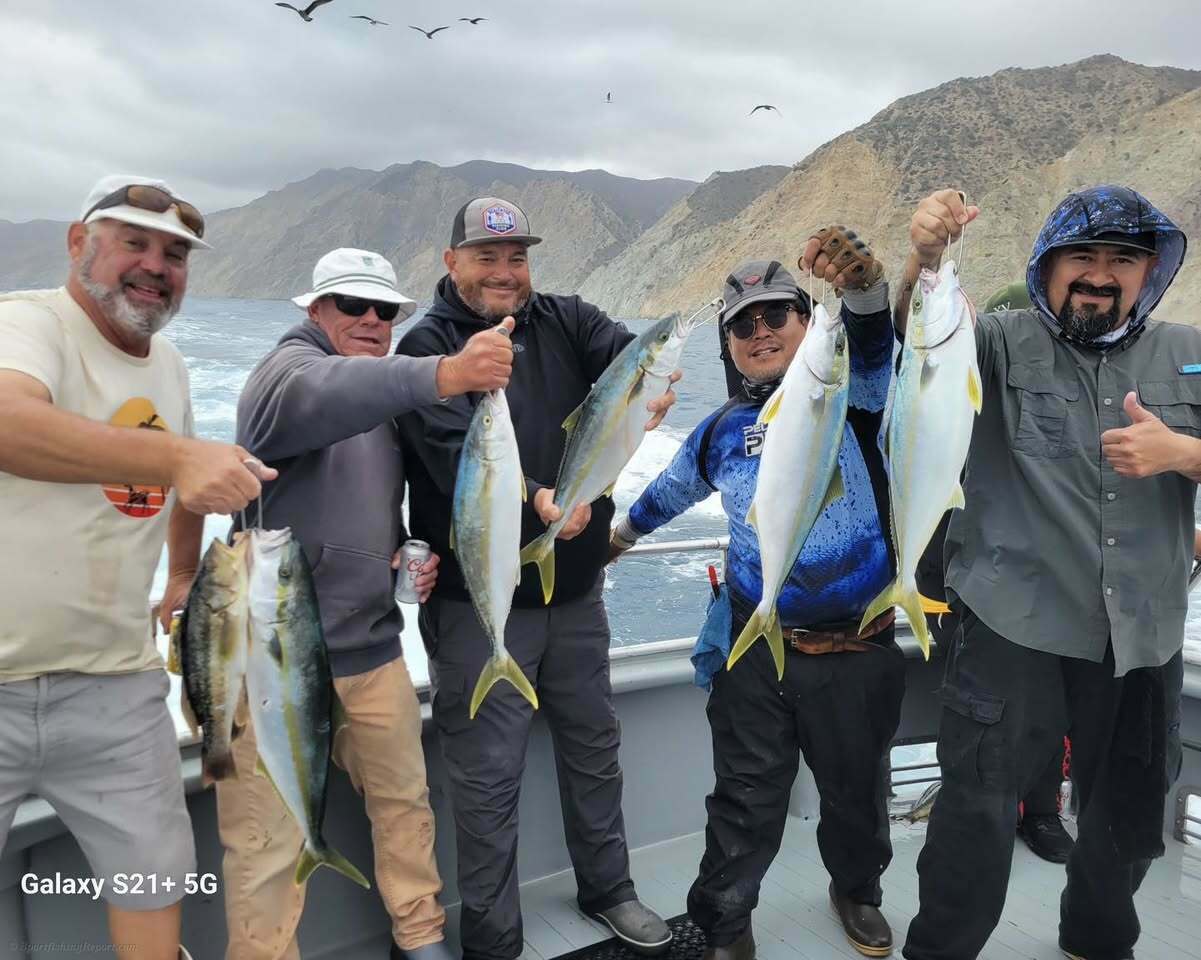 Update on what we’ve been up to on the El Patron