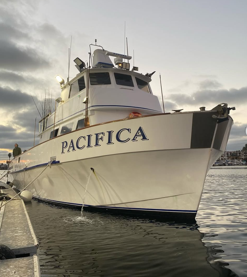 fish report - 100 plus Yellowfin Tuna!