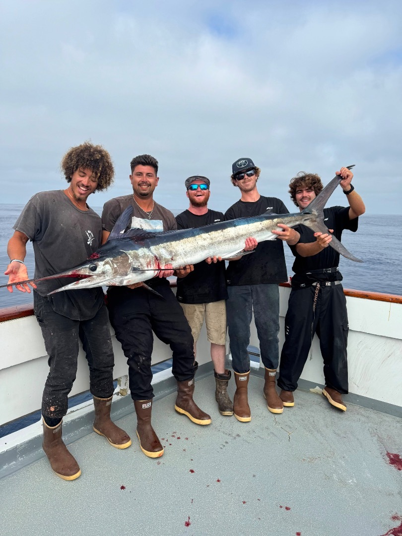 fish report - El Niño 2026