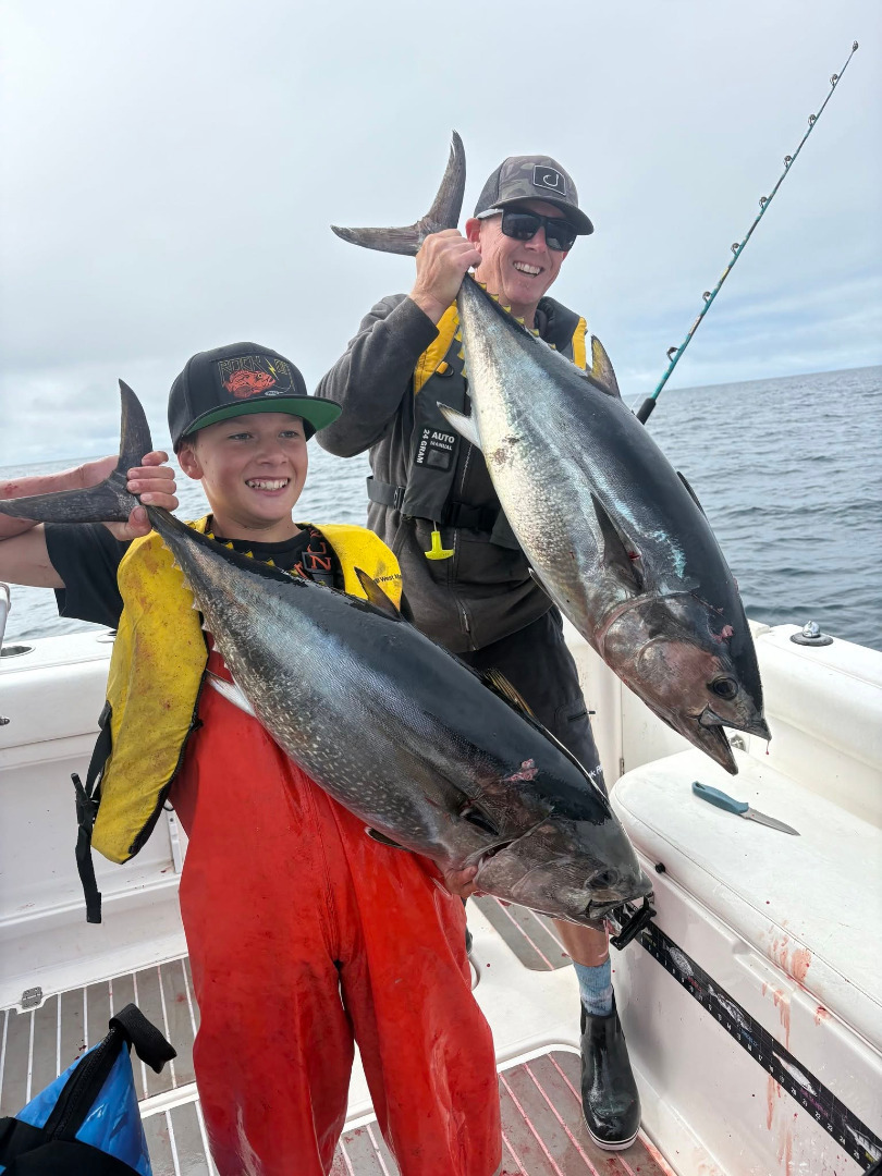 Larger bluefin schools headed here? cover picture