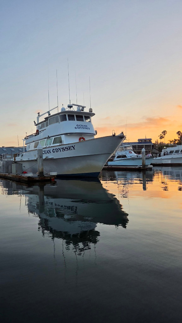 fish report - 1.5 Day Trip Report