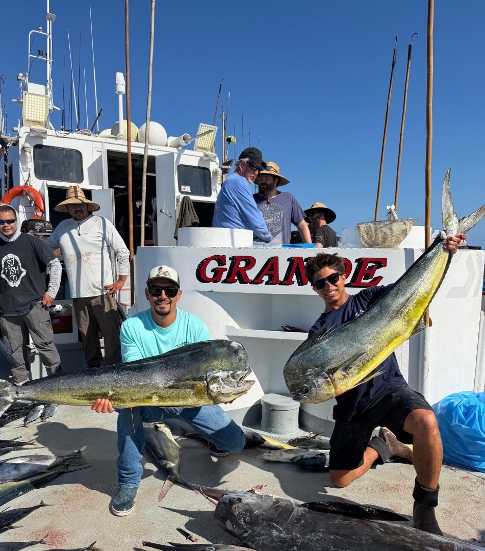 fish report - Offshore going strong!