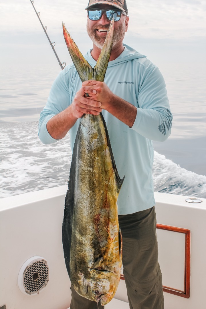 Dorado Fever Sweeps the Baja Coast!