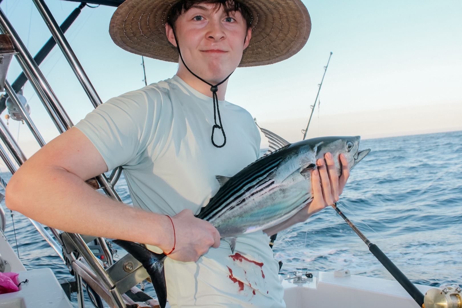 Tuna Action Explodes Offshore Cabo